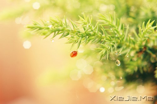 不要艳羡他人,不要输掉自己 (3)