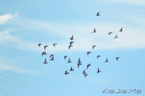 平淡与安静,亦是心灵的另一种力量 (1)