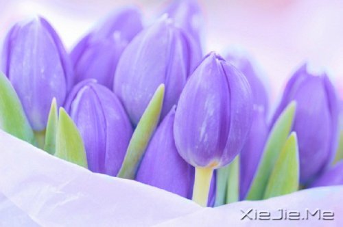 做最真实的自己,才是最好的 (1)