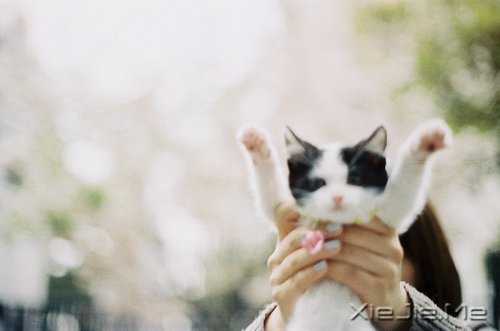 有些事,笑笑就能过去 (4)