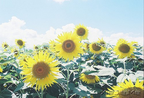 有些事,笑笑就能过去 (9)
