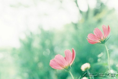 因为知足,所以更接近幸福 (6)