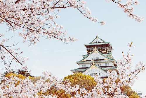 不管成功与否,至少曾经美丽 (7)