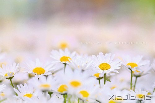 人生最清晰的脚印,往往印在最泥泞的路上 (4)