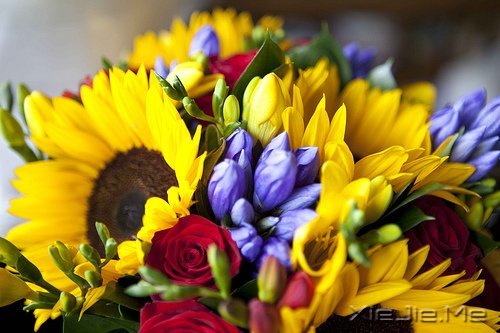 跑不过时间就跑过昨天的自己 (4)