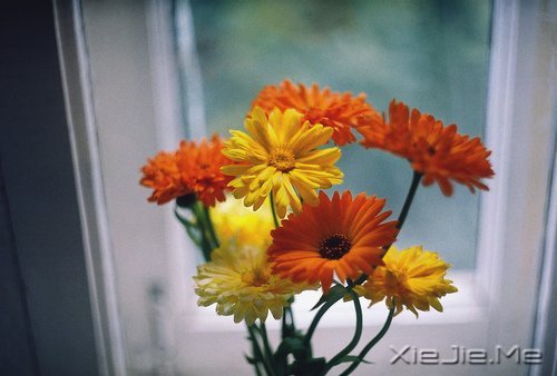 跑不过时间就跑过昨天的自己 (5)