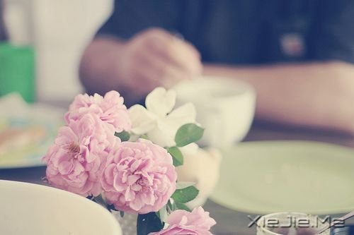 一路感恩,且行且珍惜 (8)