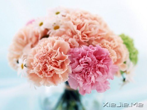 早安心语:轻轻的呼吸,浅浅的微笑 (4)