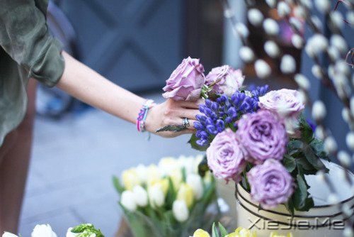 早安心语:轻轻的呼吸,浅浅的微笑 (6)