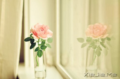 早安心语:轻轻的呼吸,浅浅的微笑 (10)