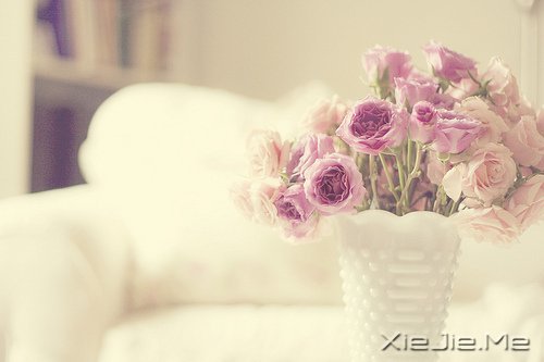 早安心语:我们总是在别人的故事里,流着自己的眼泪 (8)