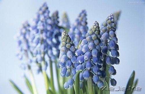 早安心语:收拾心情,重新上路 (6)