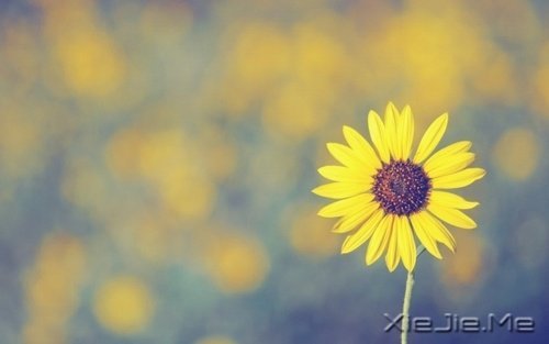 晚安心语:我想要的,一直很简单 (4)