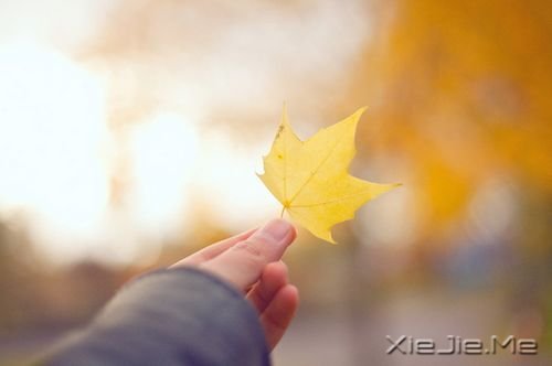 晚安心语:若你懂得,就请珍惜 (1)