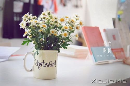 早安心语:你看事情太明白,往往就失了做事的勇气 (9)