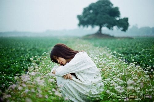 早安心语:最懂我的,始终还是我自己 (9)