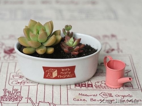 早安心语:没有什么难过能与众不同 (1)