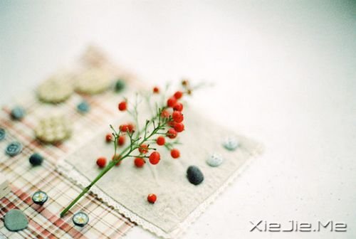 晚安心语:真正的泪水来自心底,眼睛只是一个小小的出口 (3)