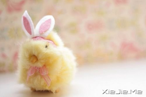 早安心语:我们最孤独的,是在心途中迷失了自己 (9)