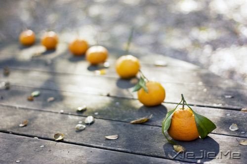 晚安心语:别让怯弱否定自己,别让懒惰误了青春 (2)