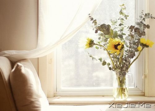 早安心语:有的路,要心去走 (4)