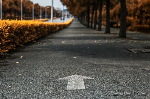 早安心语:有的路,要心去走 (10)