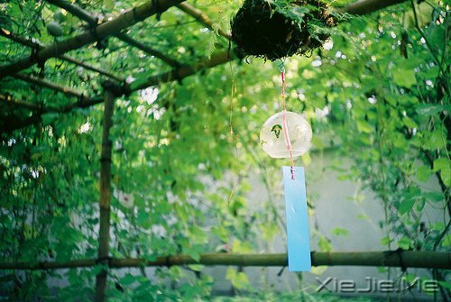 早安心语:成为自己想成为的人,这从来不迟 (7)