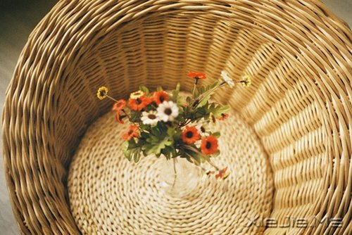 早安心语:有些谎言,美丽的让你不忍揭穿 (4)