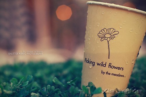 晚安心语:只怕心老,不怕路长 (8)