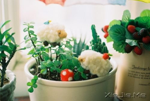 晚安心语:若无其事,原来是最狠的报复 (8)