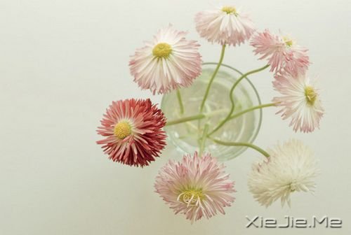 早安心语:你生活在别人的眼神里,就迷失在自己的心路上 (10)