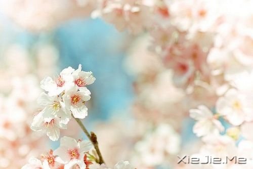 晚安心语:有些话,适合烂在心里 (4)