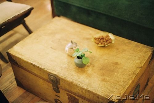 晚安心语:我的愿望是,一觉睡到小时候 (4)