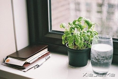 晚安心语:你比自己想象中要坚强 (7)