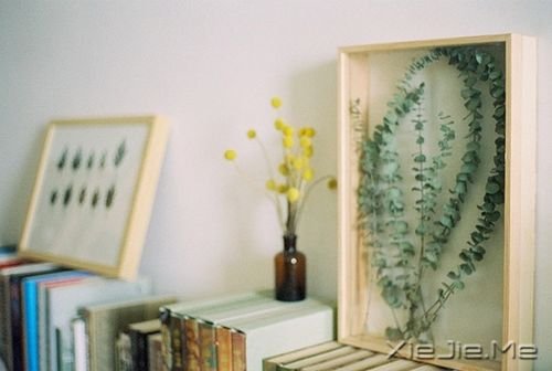 早安心语:坚毅的人总会出头 (7)