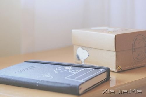 晚安心语:别让别人左右了你的青春 (4)