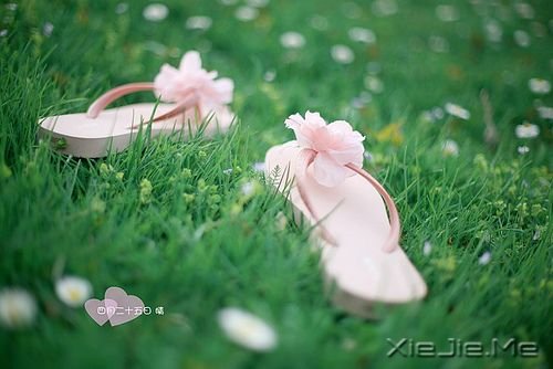 早安心语:日久不一定生情,但必定见人心 (5)