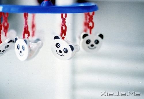 晚安心语:放下那些不能帮助你前行的过去 (8)