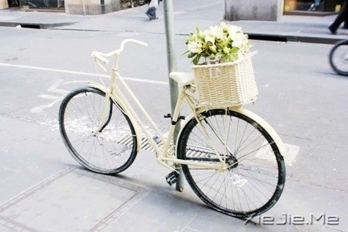 更好的未来总是属于你 (2) 小清新图片 (2)