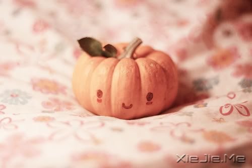 遇见了,就好好珍惜 (7) 小清新图片 (7)