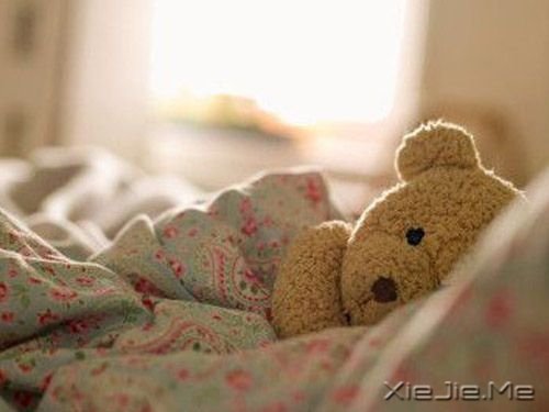 微笑,原谅,遗忘,然后继续向前 (4)