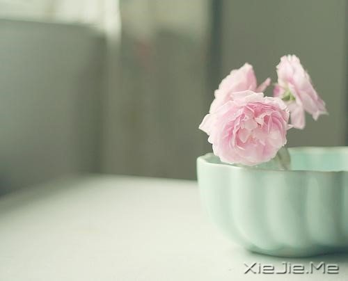 这样在有生之年,我还可以看到你