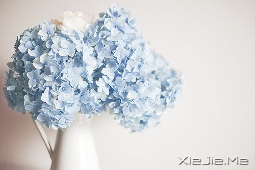 送给明年依然年轻的我们:活着是为了什么?