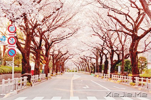 人生路上的20条智慧语录