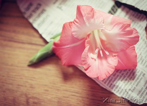 感人故事:女儿别怕,爸爸与你平静相依