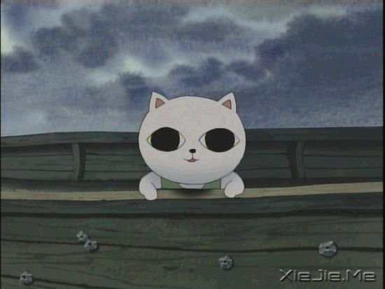 关于猫咪的9部经典电影推荐 (9)