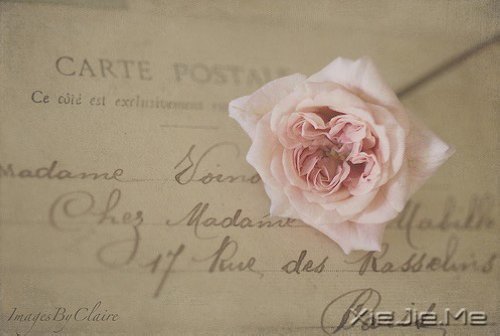 倘若有大事情等着我们去解决,怎么会有那闲工夫抱怨