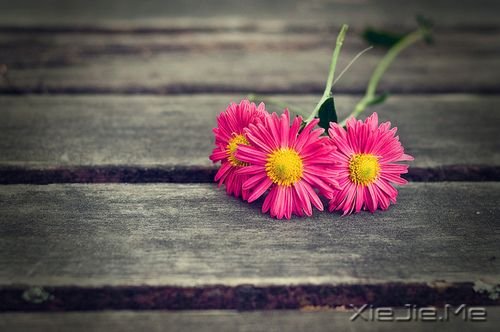 成就一生的50个好心态 (2)