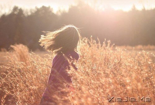 角落里的时光 (3) 小清新文字