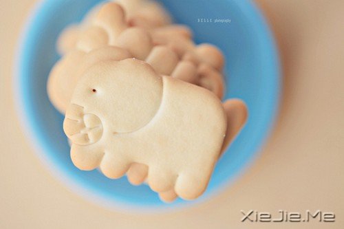 向着太阳灿烂地微笑